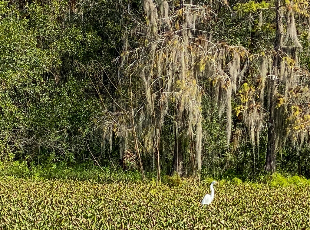 Conversation at Peace River Preserve in Arcadia, Florida