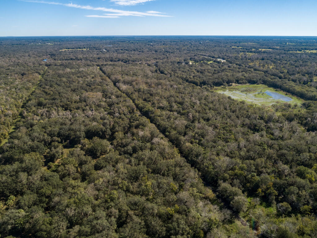 Wetlands ponds and legacy roadways.
