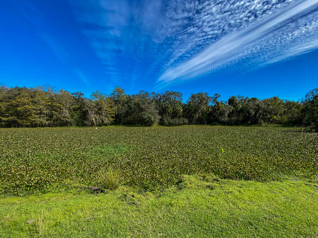 Mitigation at Peace River Preserve in Arcadia, Florida